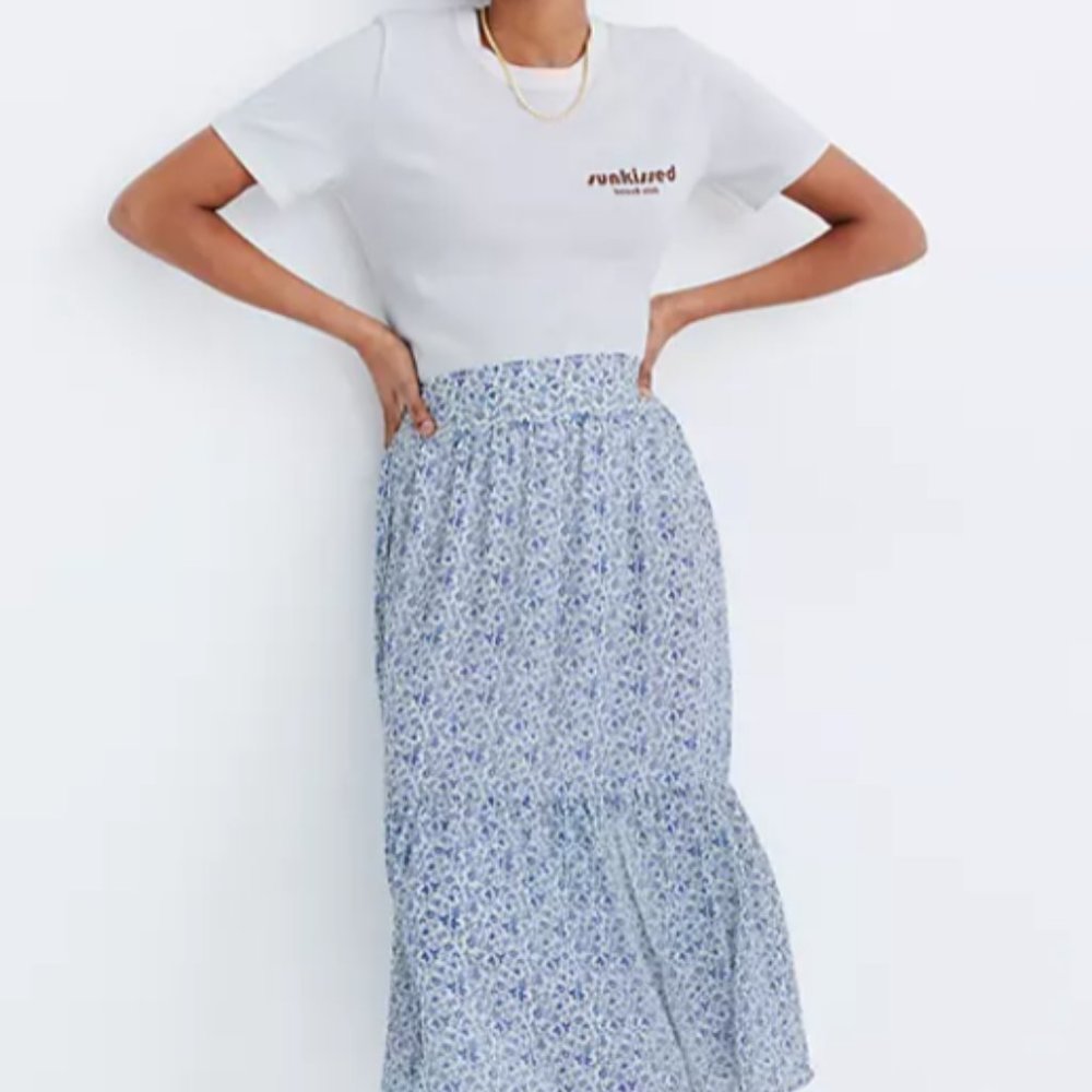 Madewell Blue and White Midi Skirt